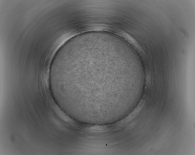 X0000115071178200911101256