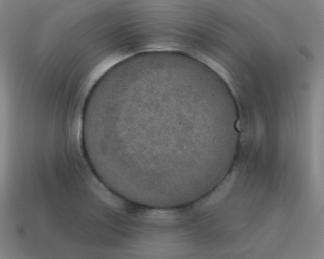 X0000115071179200911101256