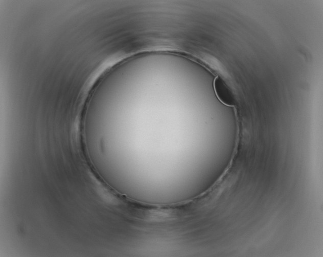 X0000115071181200911101256