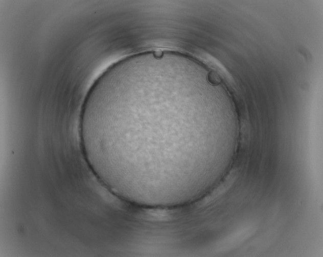 X0000115071182200911101256