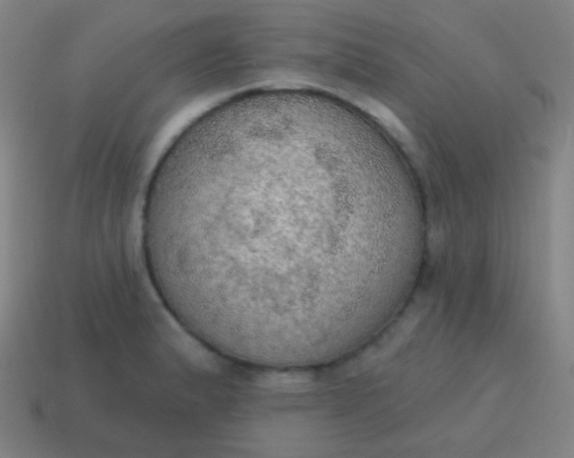 X0000115071183200911101256
