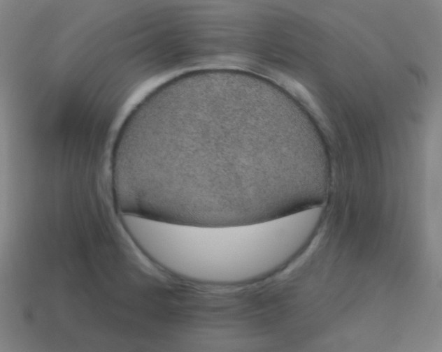 X0000115071184200911101256