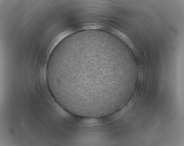 X0000115071186200911101256