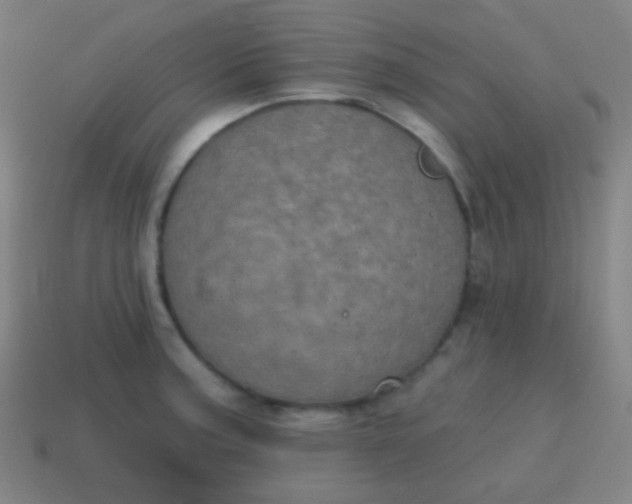 X0000115071187200911101256