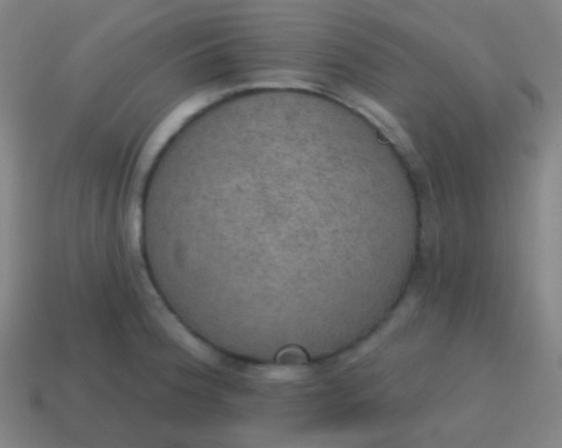 X0000115071188200911101256