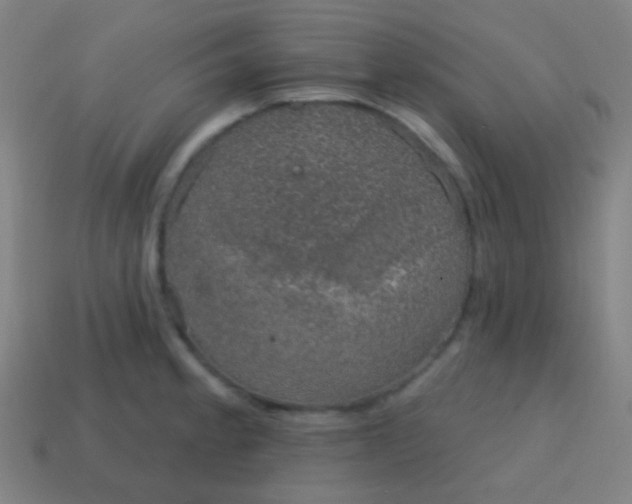 X0000115071189200911101256