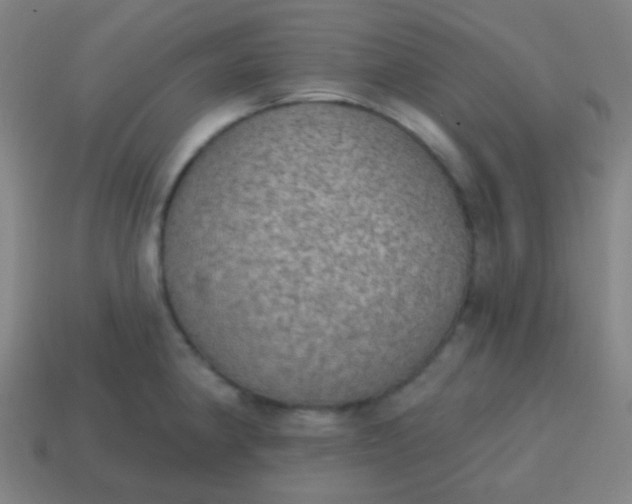 X0000115071190200911101256