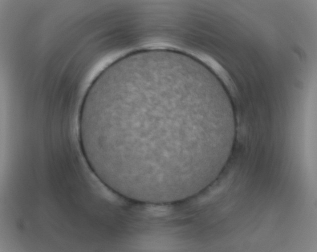 X0000115071191200911101256