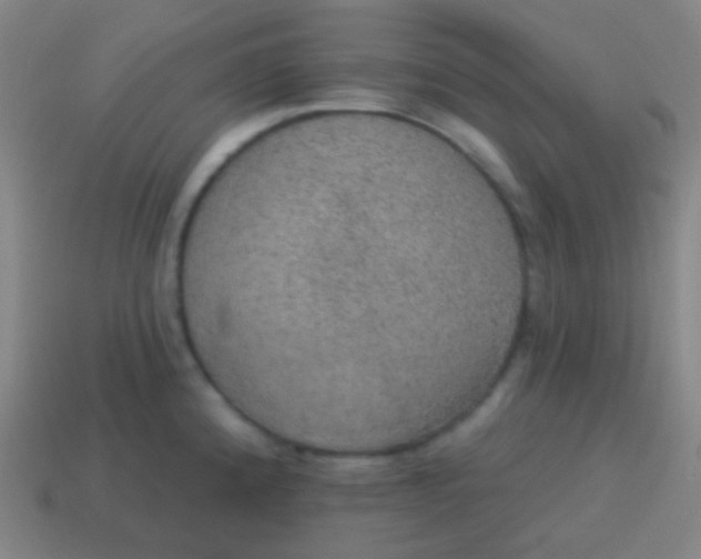 X0000115071192200911101256