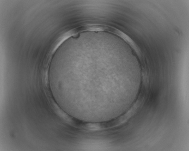 X0000115071194200911101256