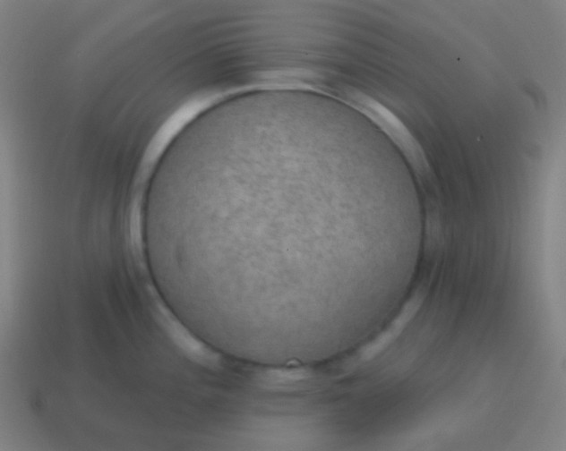X0000115071196200911101256
