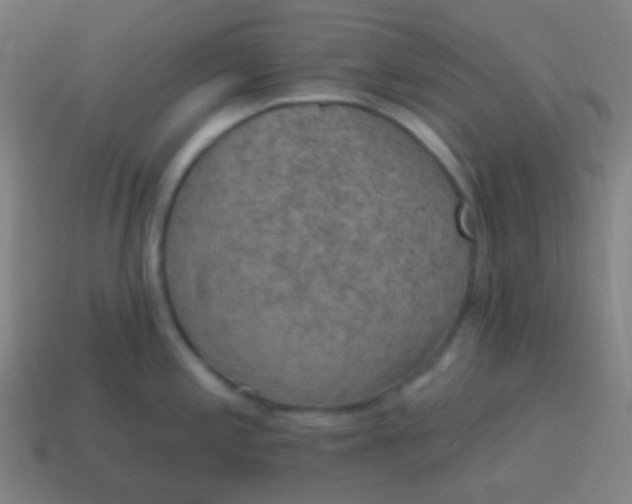X0000115071197200911101256