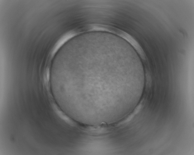 X0000115071198200911101256