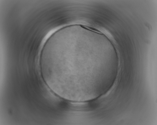 X0000115071200200911101256