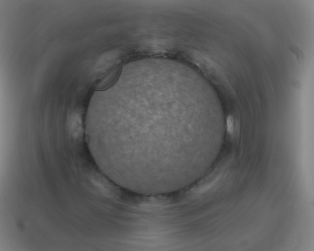 X0000115071203200911101255