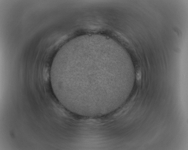 X0000115071204200911101255