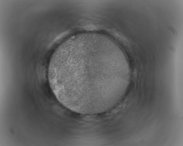 X0000115071205200911101255