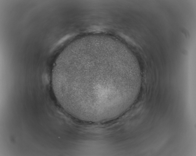 X0000115071206200911101255