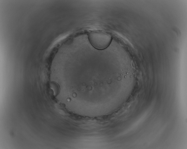 X0000115071207200911101255