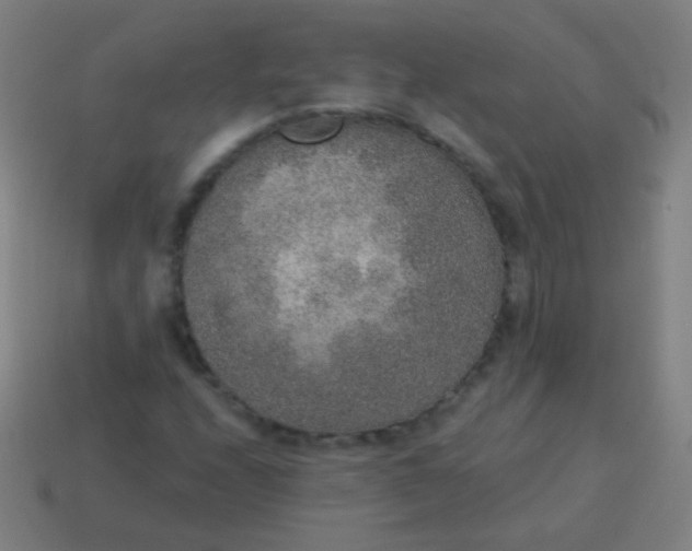 X0000115071208200911101255