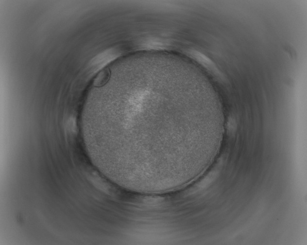 X0000115071209200911101255