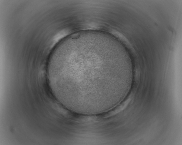 X0000115071210200911101255