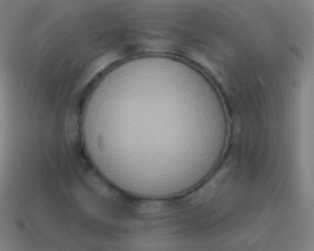 X0000115071211200911101255