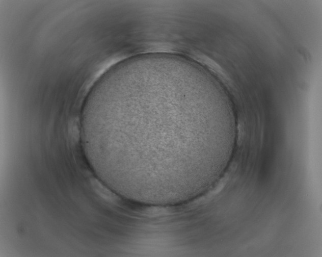 X0000115071212200911101256