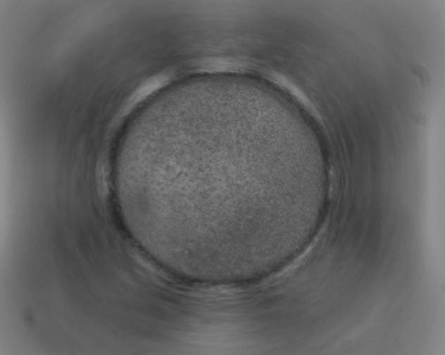 X0000115071213200911101256