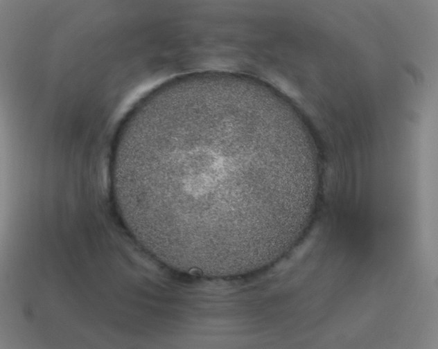 X0000115071214200911101256