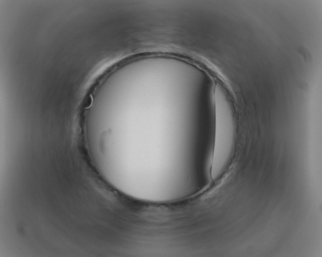 X0000115071215200911101256
