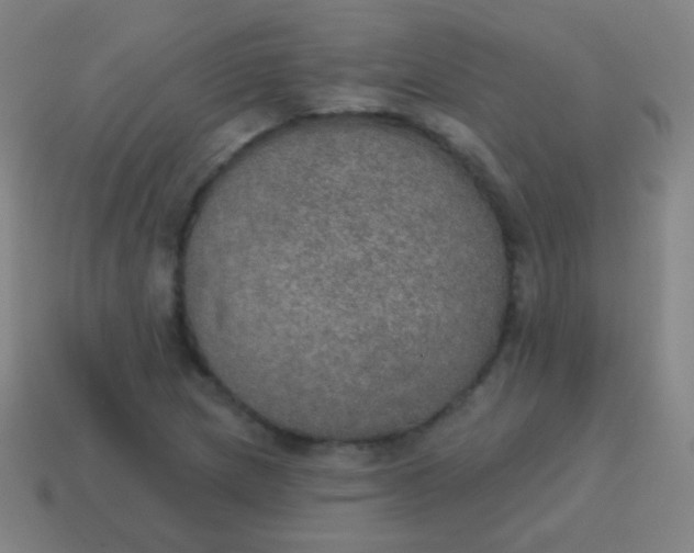X0000115071217200911101256