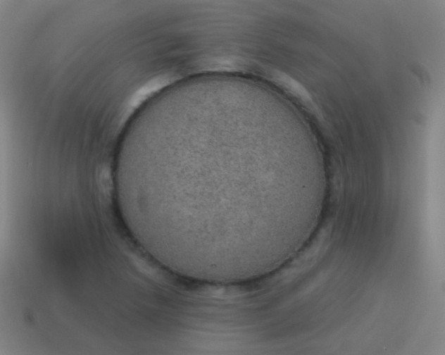 X0000115071218200911101256