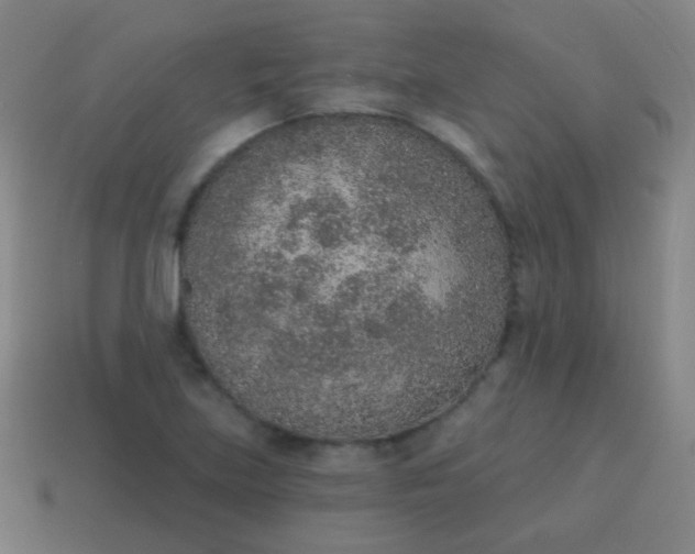 X0000115071219200911101256