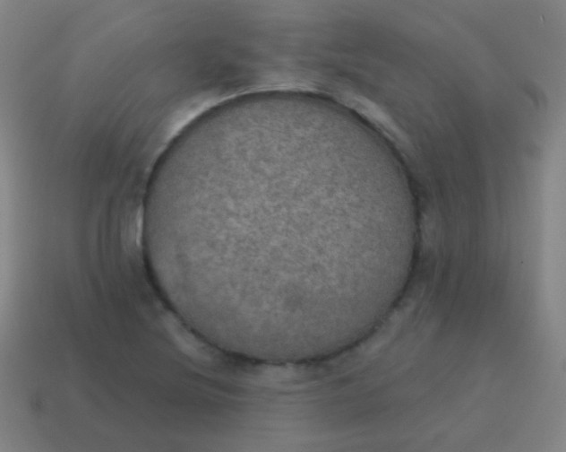 X0000115071220200911101256