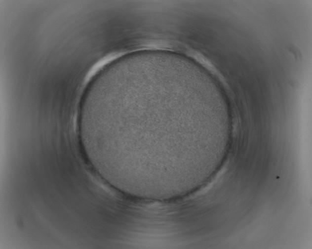 X0000115071222200911101256