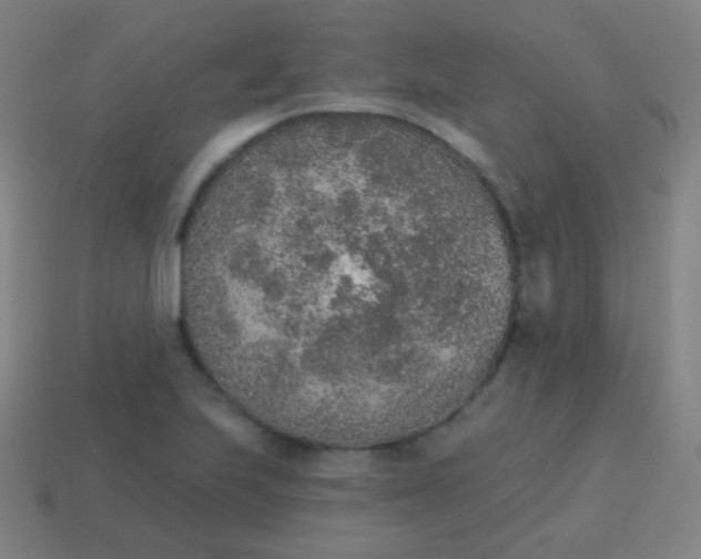 X0000115071223200911101256