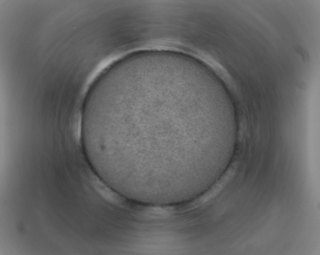 X0000115071224200911101256