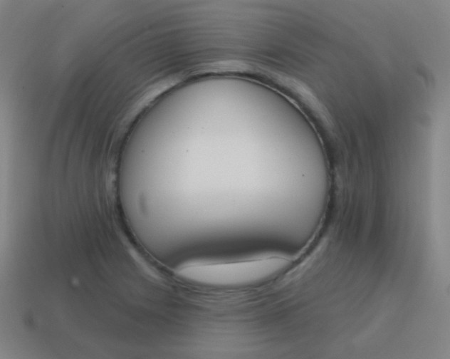 X0000115071225200911101256
