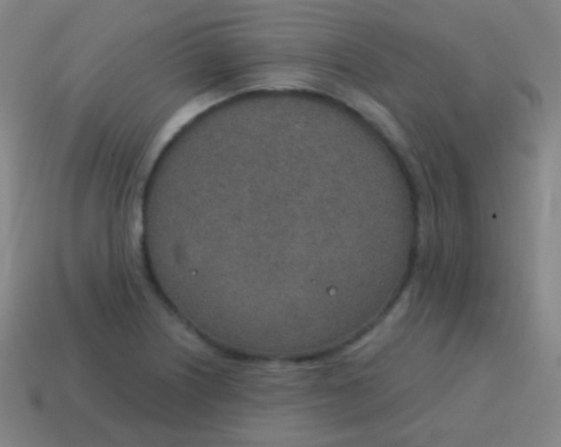 X0000115071226200911101256