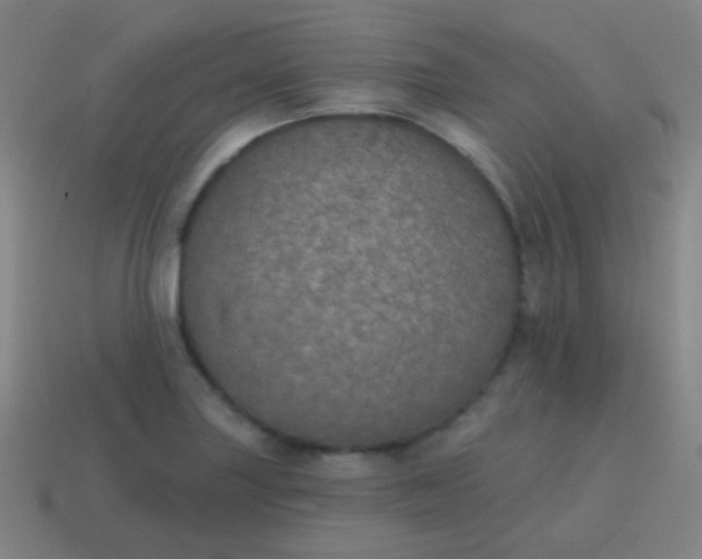 X0000115071227200911101256
