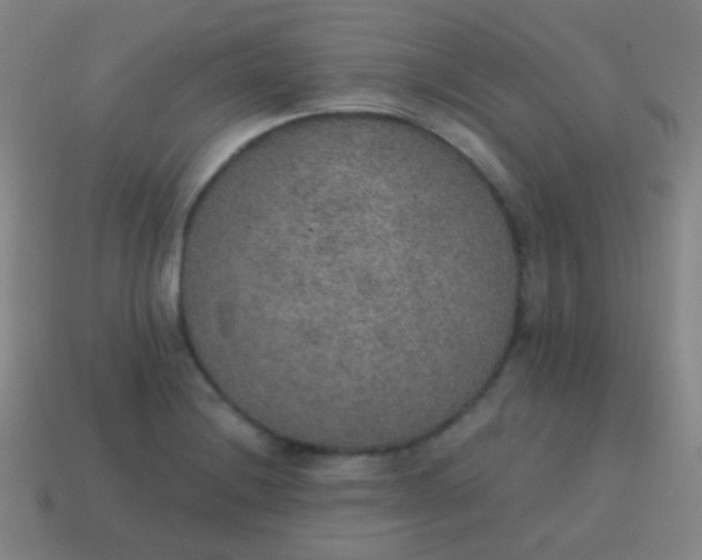 X0000115071228200911101256