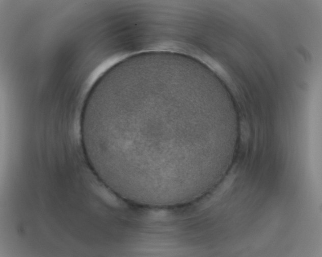 X0000115071230200911101256