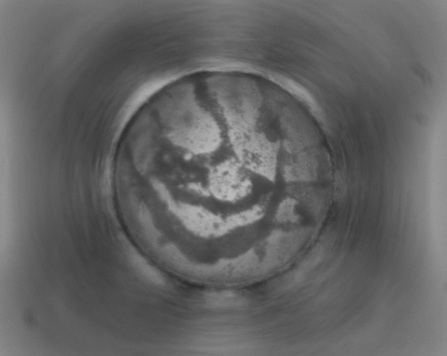 X0000115071231200911101256