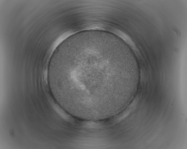 X0000115071234200911101256