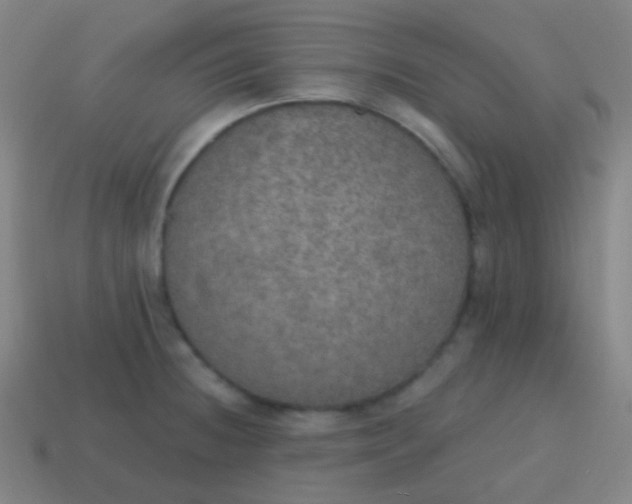 X0000115071236200911101256