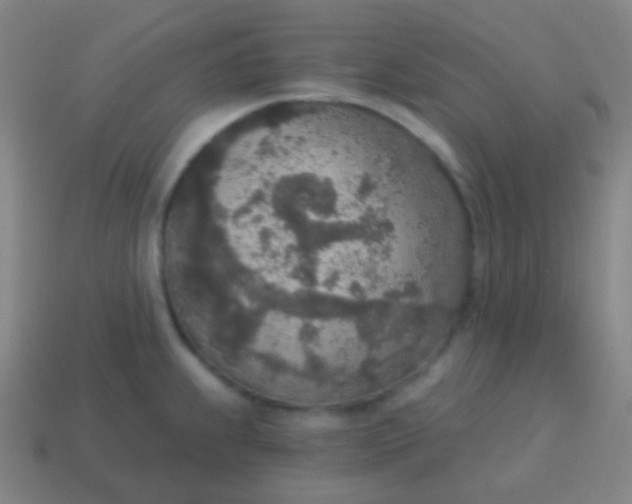 X0000115071239200911101256