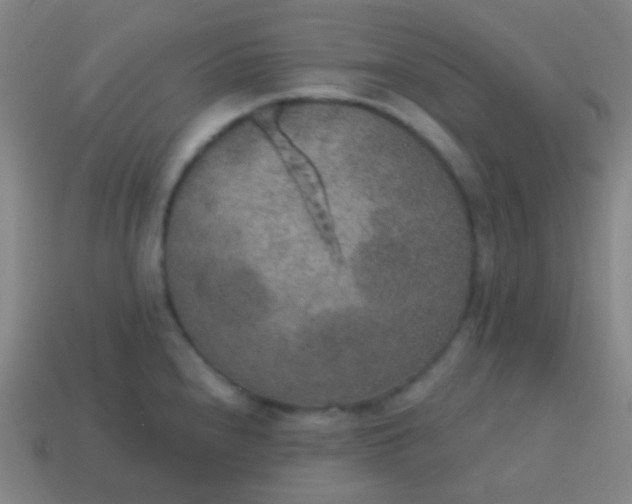X0000115071240200911101256