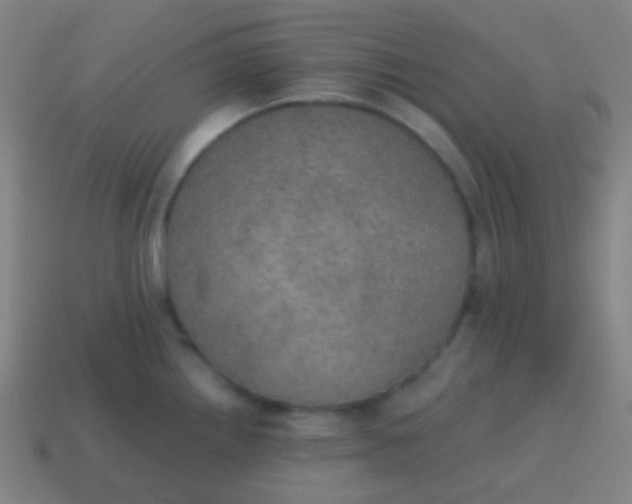 X0000115071242200911101256