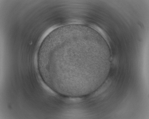 X0000115071243200911101256